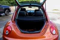 VWBeetle_4617