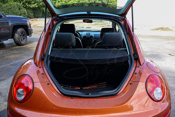 VWBeetle_4617