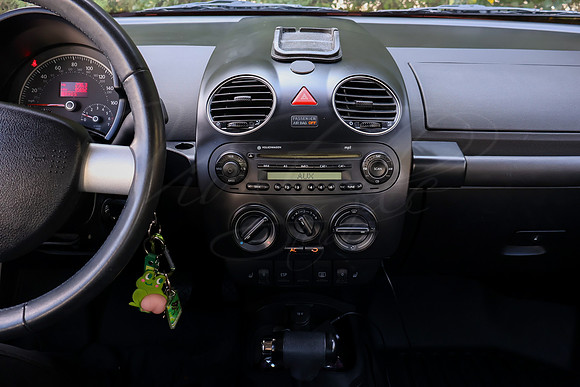 VWBeetle_4631