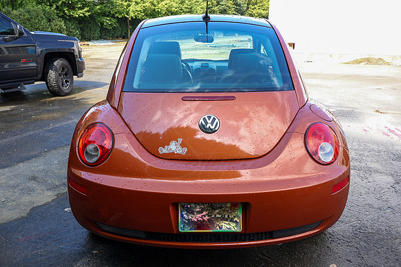 VWBeetle_4616