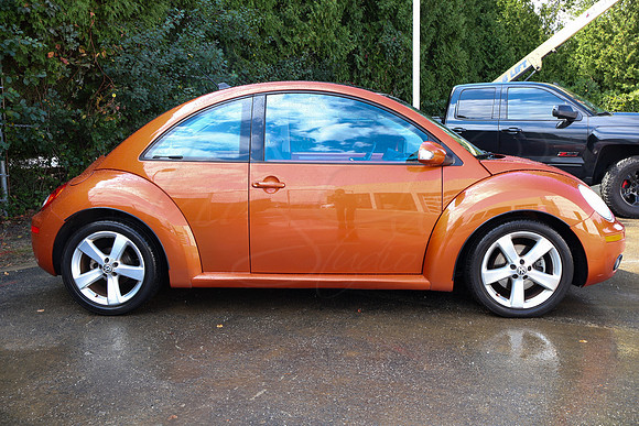 VWBeetle_4613