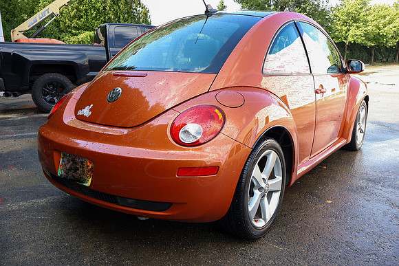 VWBeetle_4615