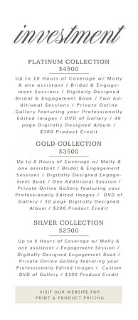 Website Brochure 5