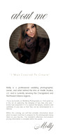 Website Brochure 3