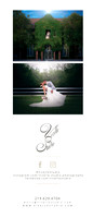 Website Brochure 6