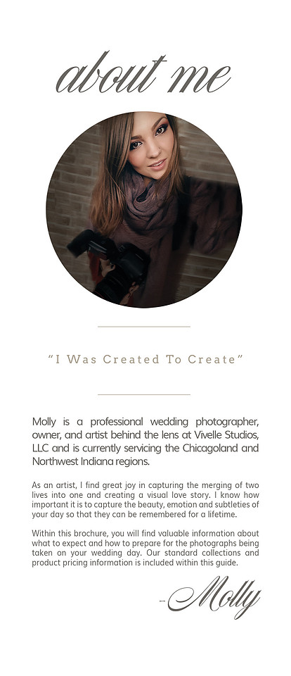 Website Brochure 3