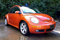 VWBeetle_4612