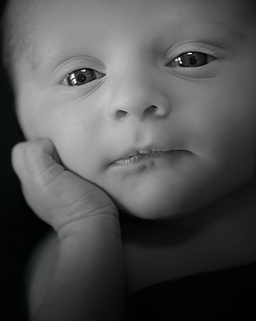 Gavin_0027