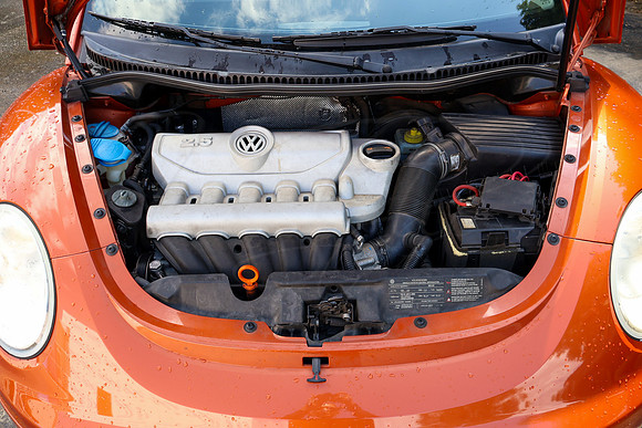 VWBeetle_4621