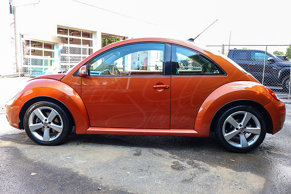 VWBeetle_4619